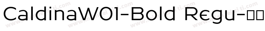 CaldinaW01-Bold Regu字体转换